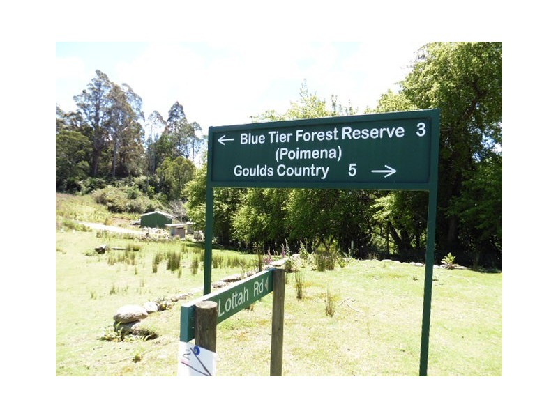 * Lottah Road, Lottah, Weldborough TAS 7264
