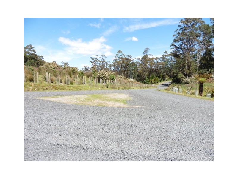 * Lottah Road, Lottah, Weldborough TAS 7264