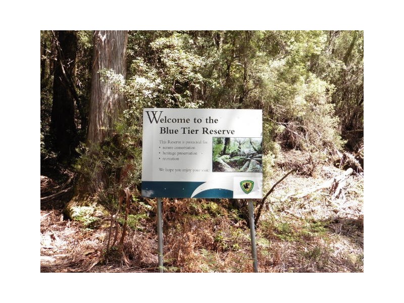 * Lottah Road, Lottah, Weldborough TAS 7264