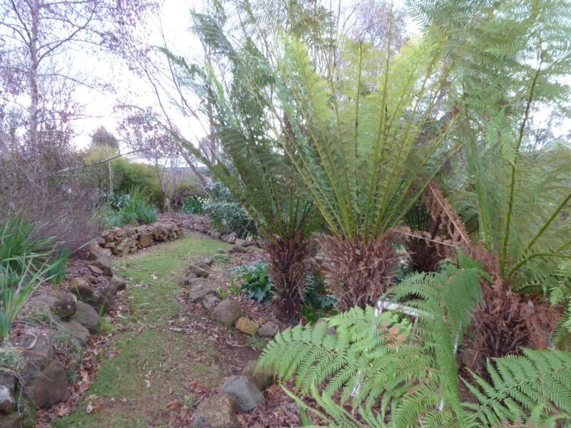 20 Pearce Street, Branxholm TAS 7261