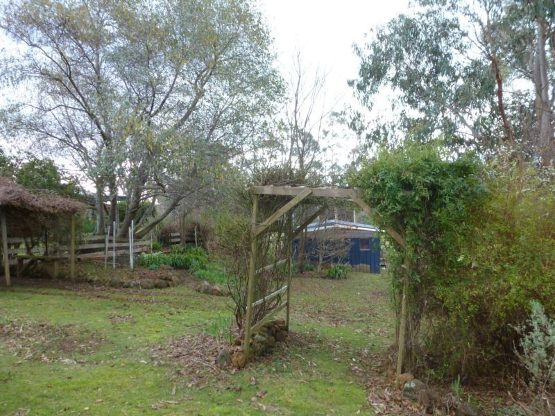 20 Pearce Street, Branxholm TAS 7261