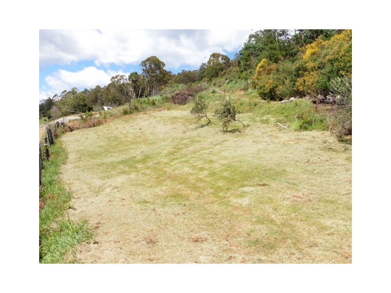 8 Allan Street, Derby TAS 7264