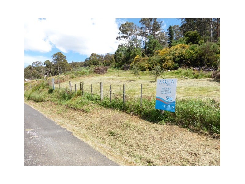 8 Allan Street, Derby TAS 7264