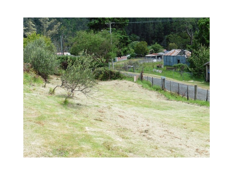 8 Allan Street, Derby TAS 7264