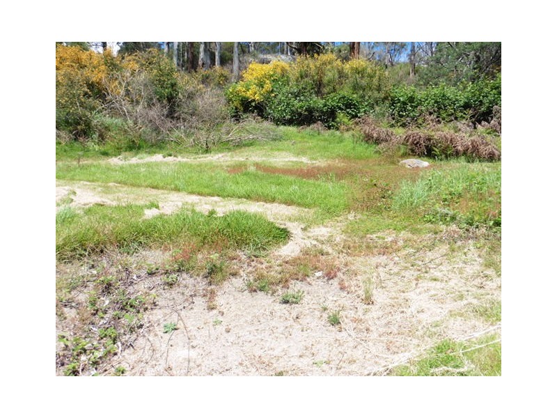 8 Allan Street, Derby TAS 7264