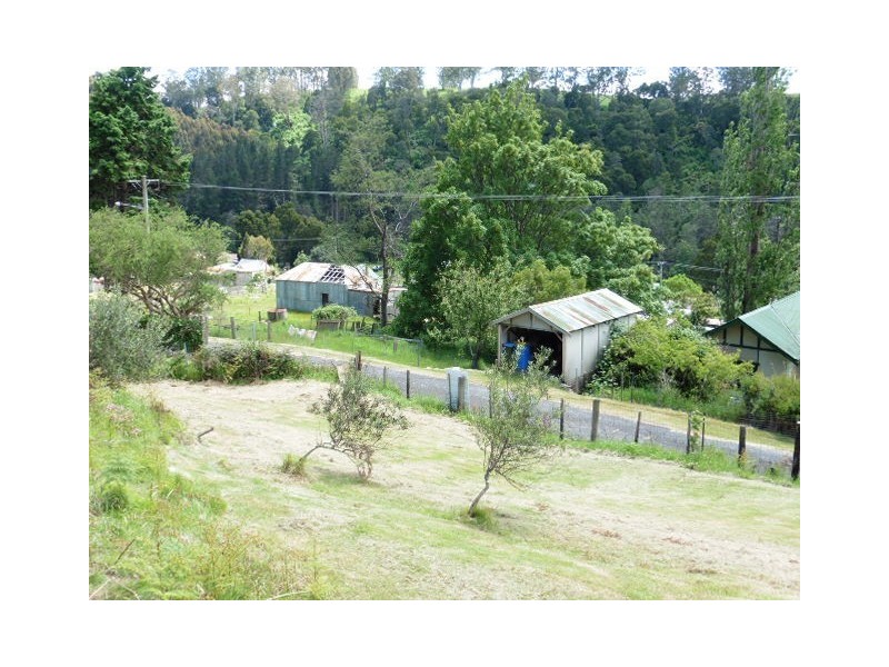 8 Allan Street, Derby TAS 7264