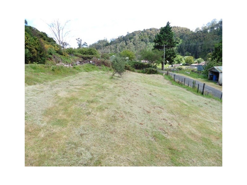 8 Allan Street, Derby TAS 7264