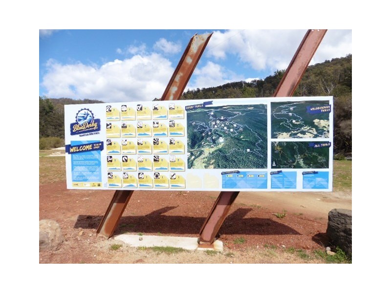 8 Allan Street, Derby TAS 7264