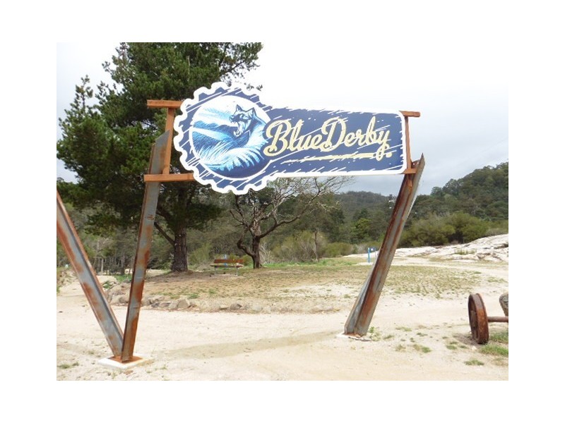 8 Allan Street, Derby TAS 7264