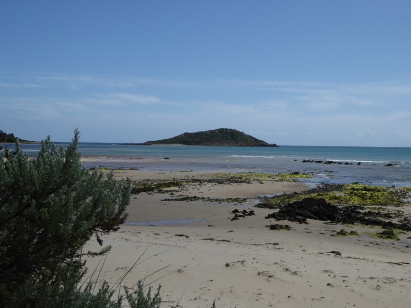 11 Morgan Esplanade, Tomahawk TAS 7262