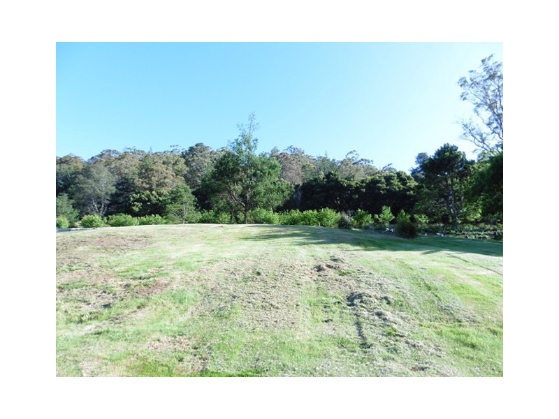 23 Renison Street, Derby TAS 7264