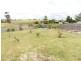 23 Main Street, Winnaleah TAS 7265