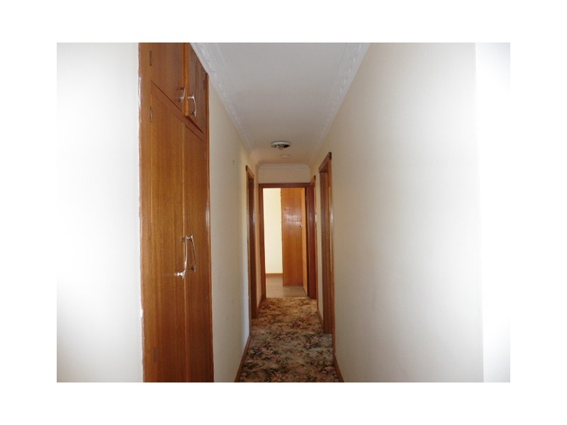 6 Mary Street, Scottsdale TAS 7260