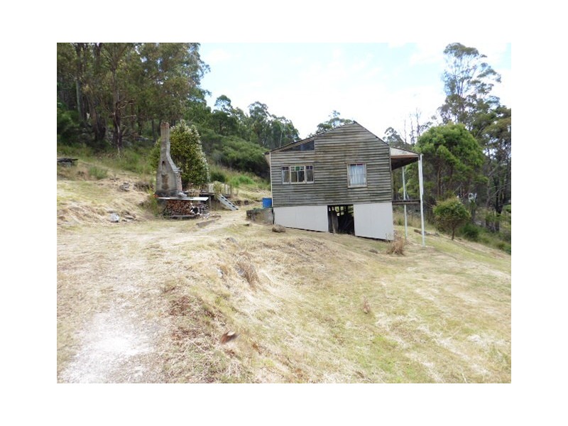 20 Allan Street, Derby TAS 7264
