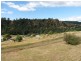 20 Allan Street, Derby TAS 7264