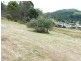 20 Allan Street, Derby TAS 7264