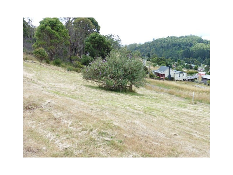 20 Allan Street, Derby TAS 7264