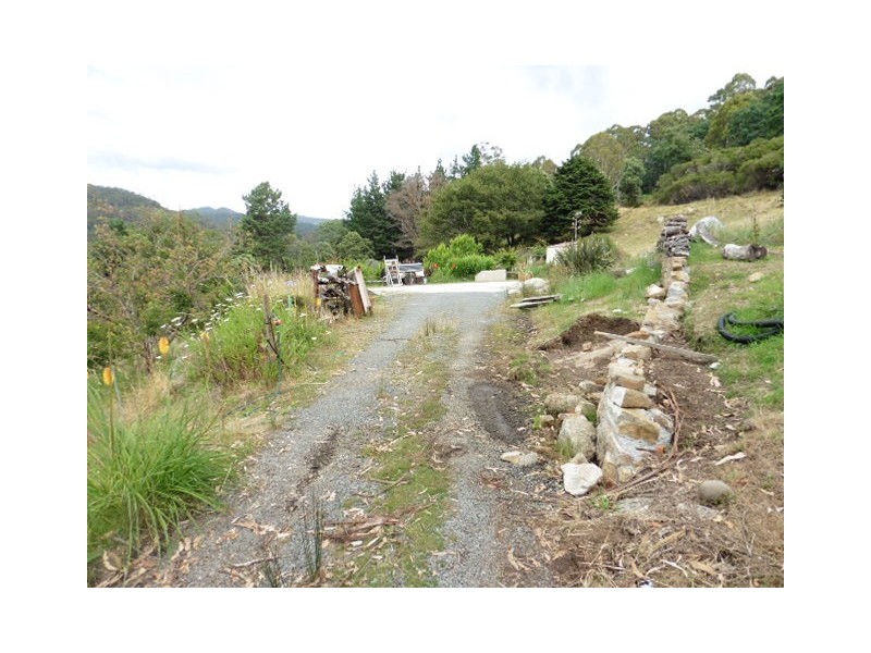 39 Allan Street, Derby TAS 7264