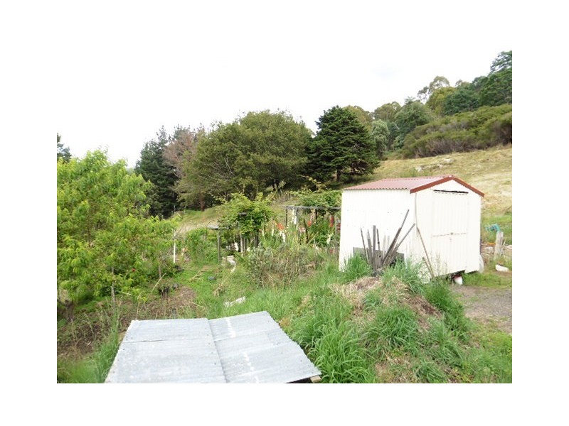 39 Allan Street, Derby TAS 7264