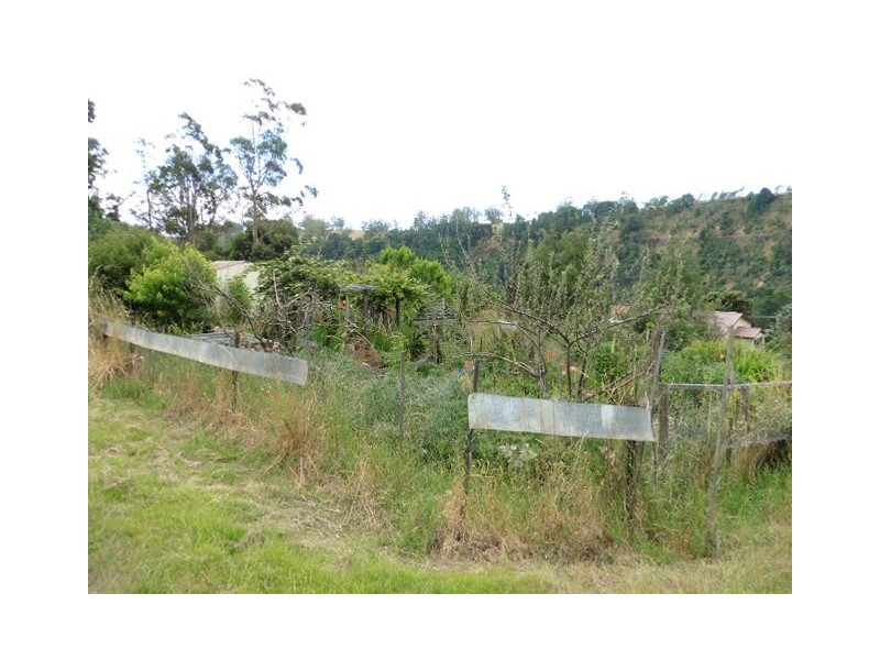 39 Allan Street, Derby TAS 7264
