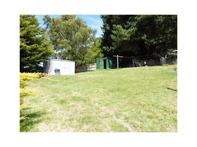 15 Renison Street, Derby TAS 7264