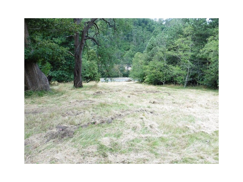 2 Main Street, Derby TAS 7264