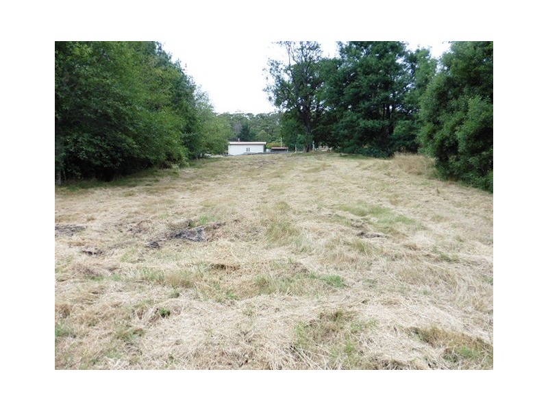 2 Main Street, Derby TAS 7264