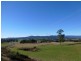 33317 Tasman Highway, Legerwood TAS 7263