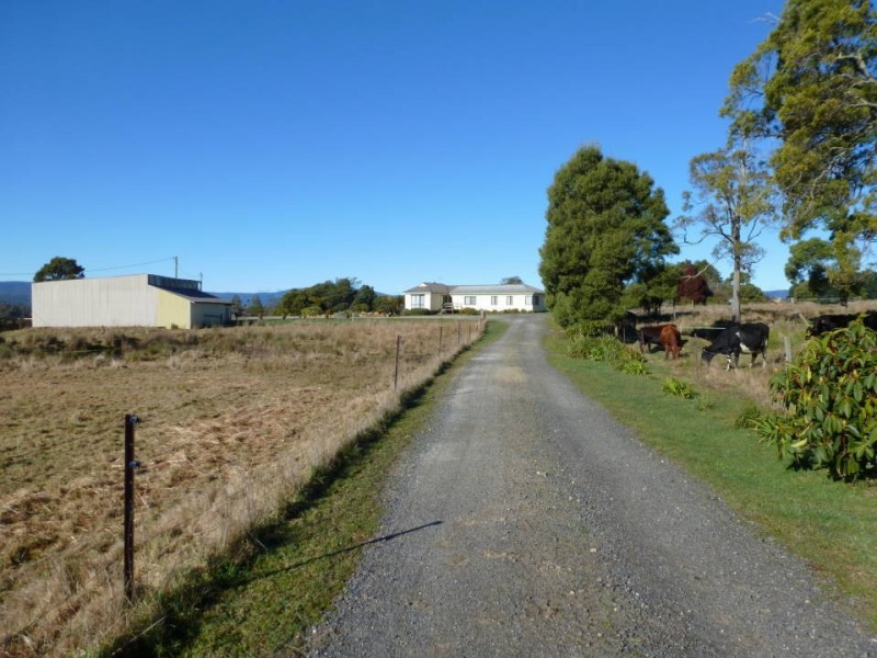 33317 Tasman Highway, Legerwood TAS 7263