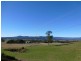 33317 Tasman Highway, Legerwood TAS 7263