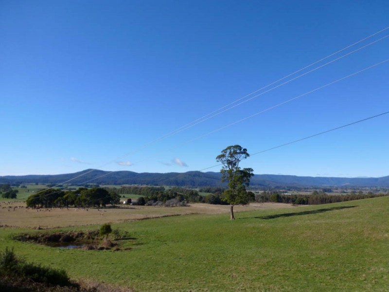 33317 Tasman Highway, Legerwood TAS 7263