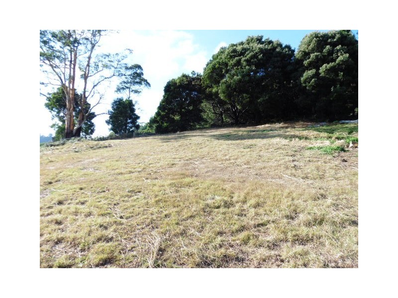 23 Renison Street, Derby TAS 7264