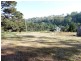 23 Renison Street, Derby TAS 7264