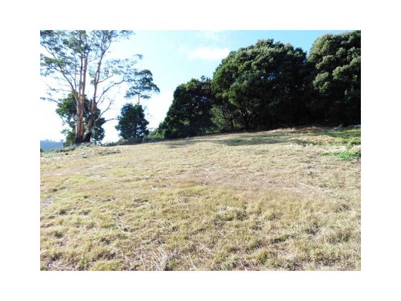 23 Renison Street, Derby TAS 7264