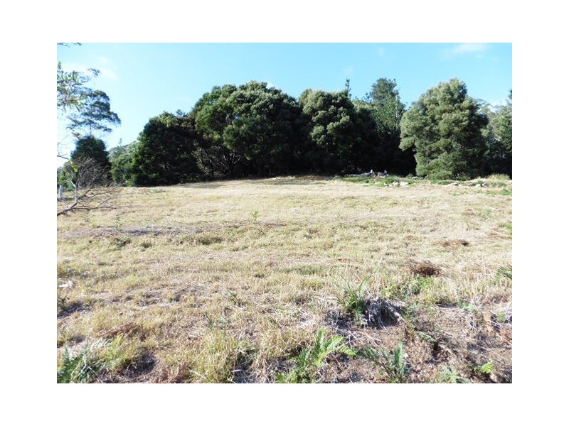 23 Renison Street, Derby TAS 7264