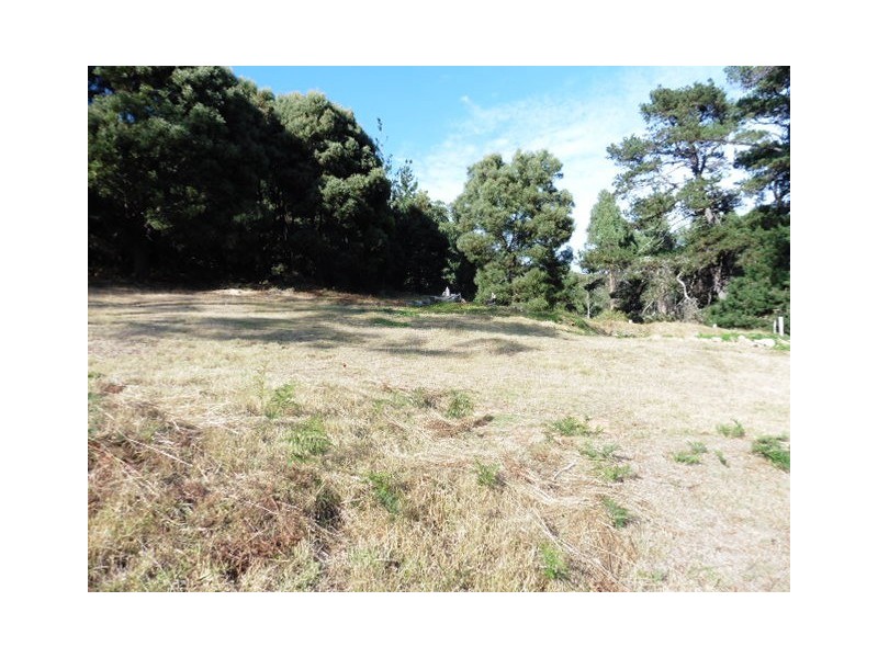 23 Renison Street, Derby TAS 7264