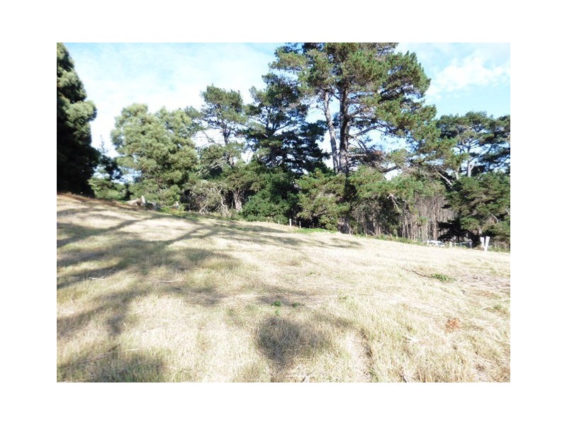 23 Renison Street, Derby TAS 7264