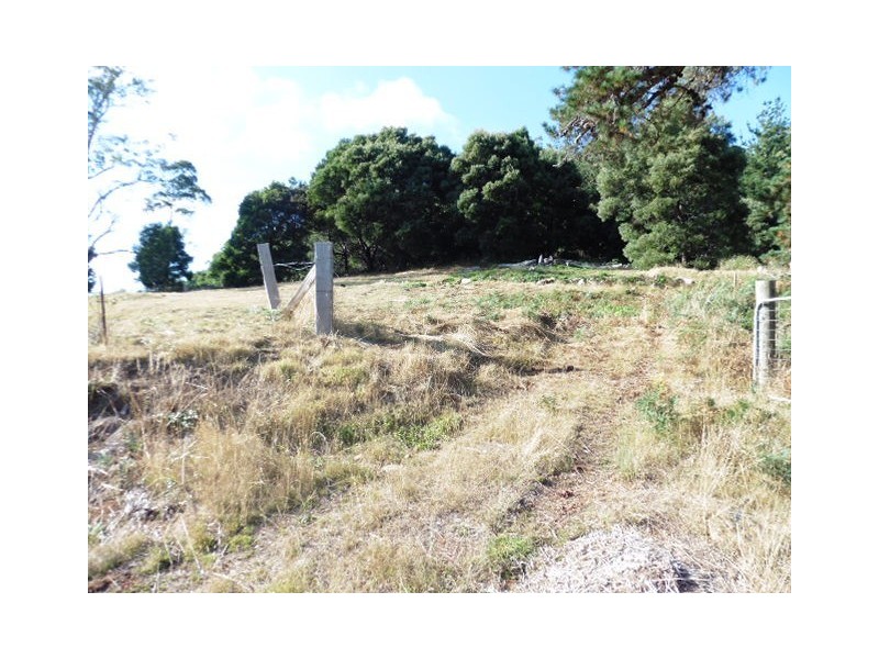 23 Renison Street, Derby TAS 7264