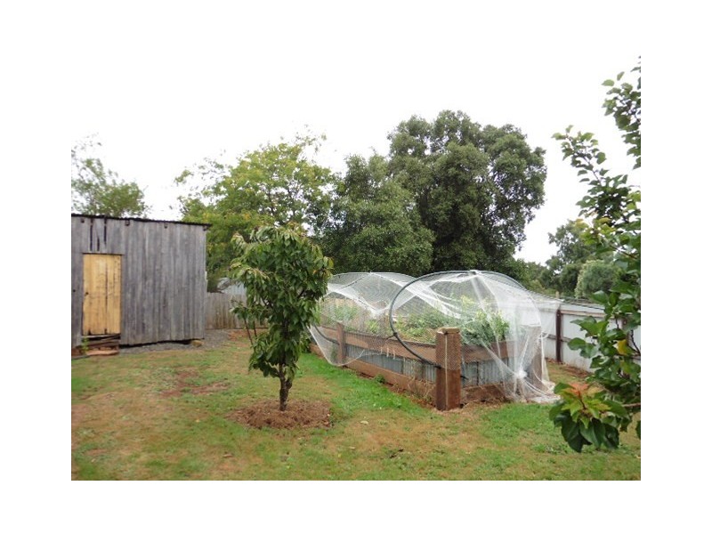 59 King Street, Scottsdale TAS 7260