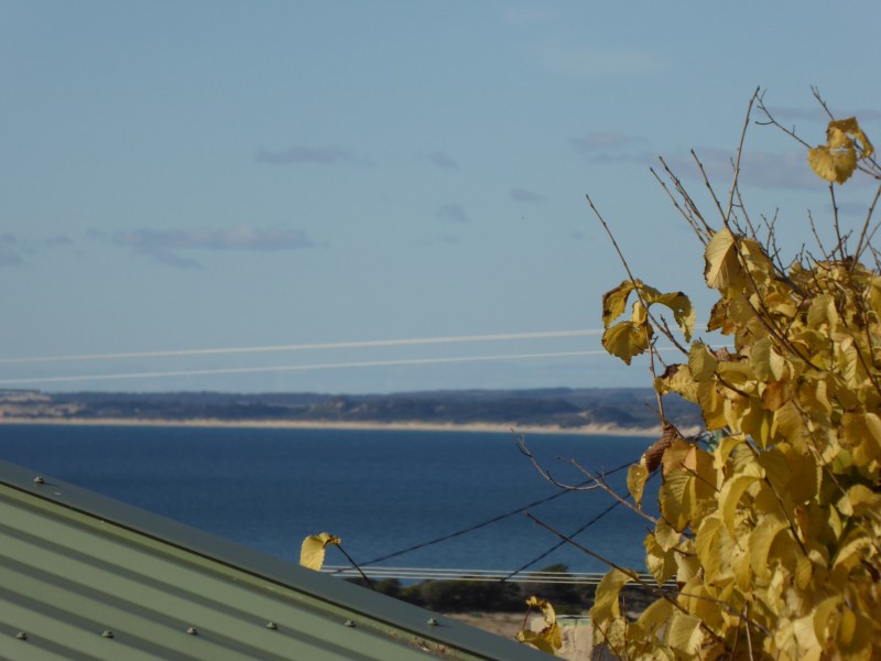 7 Anderson Street, Bridport TAS 7262