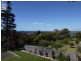 39 Elizabeth Street, Bridport TAS 7262