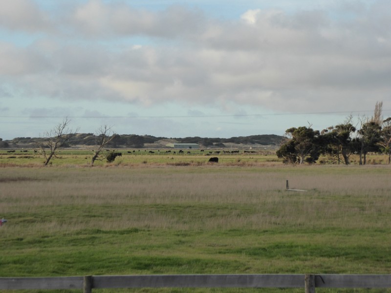 337 Waterhouse Road, Bridport TAS 7262