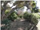 3 Clarke Street, Bridport TAS 7262