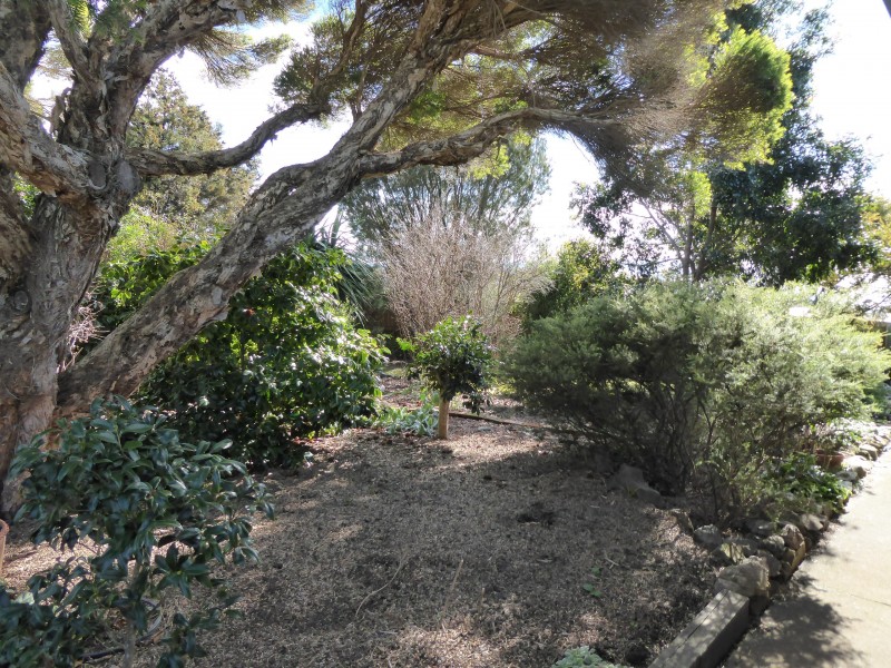 3 Clarke Street, Bridport TAS 7262
