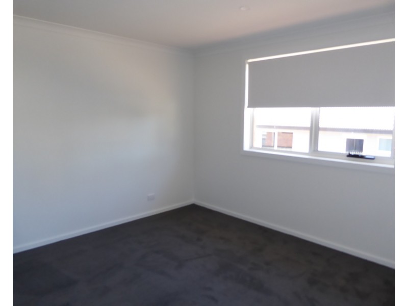 16 Therese Street, Bridport TAS 7262