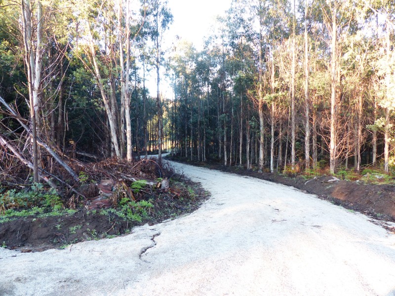 213 East Diddleum Road, Tayene TAS 7259