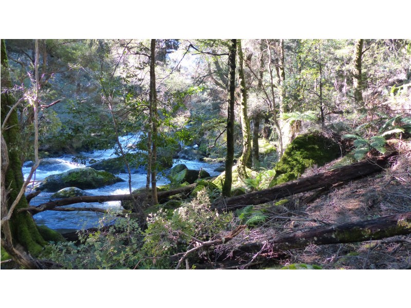 213 East Diddleum Road, Tayene TAS 7259