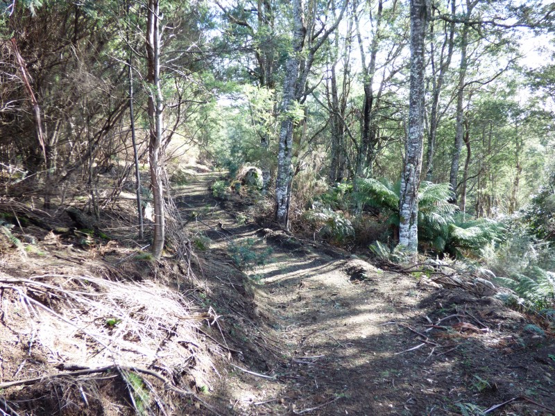 213 East Diddleum Road, Tayene TAS 7259