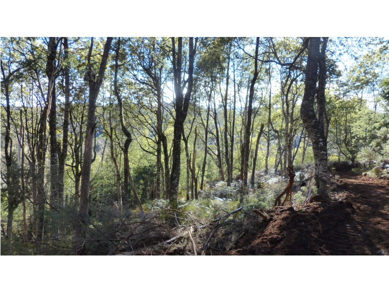 213 East Diddleum Road, Tayene TAS 7259