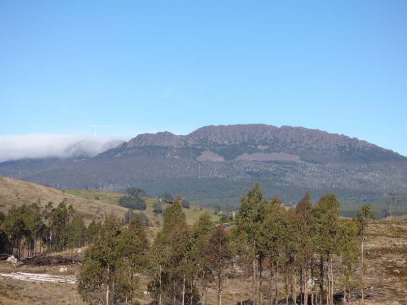 213 East Diddleum Road, Tayene TAS 7259